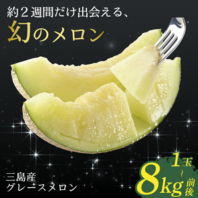 【ふるさと納税】 【予約受付中】 グレースメロン 選べる個数 約8kg 3～4玉 1玉 JAふじ伊豆 ファーマーズマーケット みしまるかん お取り寄せ グルメ フルーツ メロン 三島市 静岡県