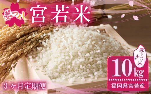【3ヶ月連続定期便】令和7年産 夢つくし 無洗米 10kg〔5kg×2袋〕×3ヶ月 [M922-1] ごはん コメ ご飯 精米 白米 ブランド米