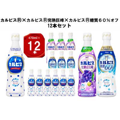 ふるさと納税 館林市 カルピス470ml×カルピス完熟巨峰470ml×カルピス糖質60%オフ470ml　12本セット
