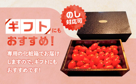 ＜化粧箱入／ギフト向け＞亜熱帯トマト「野生の証明」 - トマト 奄美大島産 ギフト向け フルーツトマト ミニトマト 野生の証明 甘い プレゼント 1.5kg 野菜 ギフト 化粧箱入り おやつ おつまみ