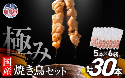 極みの焼き鳥セット 30本(5本入り×6袋) ｜ 手づくり こだわり 焼き鳥 焼鳥 セット 国産 鶏肉 串 冷凍 おかず 晩酌 バーベキュー 焼き鳥丼 小分け 焼くだけ やきとり 鶏 モモ 串 お肉 BBQ 塩竈市 塩釜市 塩釜 塩竈 遊佐ミート r6-us00002-30