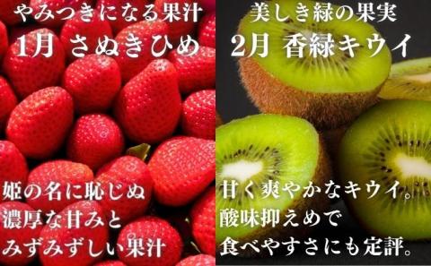 12カ月フルーツ定期便　讃州丸亀 旬の果実便り［離島エリア配送不可］