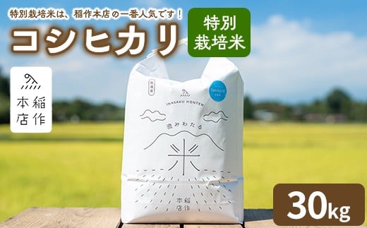 【令和7年産】特別栽培米 コシヒカリ 30kg 〔P-292〕 | こしひかり 米 お米 コメ こめ 精米 濃厚 甘い 国産 那須 栃木県 那須町 ※2025年10月下旬頃より順次発送予定