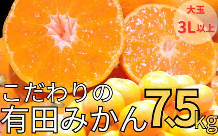 有田みかん 約7.5kg 大玉3L以上 有機質肥料100% ※2026年11月～12月に順次発送予定(お届け日指定不可) / みかん ミカン 温州みかん 柑橘 有田 和歌山 産地直送【nuk158D】
