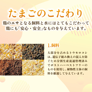 【3回定期便】タマゴ好きにはたまらない 桃太郎たまご 15個入り×2セット | 卵 赤卵 生卵 鶏卵 卵白 卵定期便