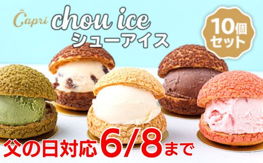 ＼父の日ギフト／シューアイス GIFT BOX 10個セット【６月８日までのお申し込みで父の日までにお届け】　シュークリーム チョコ バニラ アイス お菓子 個包装 おやつ デザート スイーツ かわいい スウィーツ 洋菓子 小分け 一人暮らし 大人気 お取り寄せグルメ 人気 冷凍配送 送料無料 母の日 父の日 贈り物 プレゼント