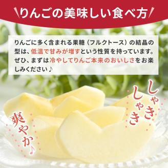 【2025年10月上旬発送】高級品 早生ふじ 5kg