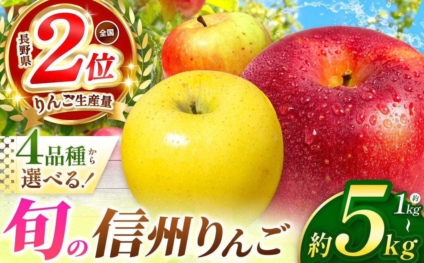 
            【2026年先行予約】 選べる品種！信州産 りんご（単品 or セット） | 果物 くだもの フルーツ 林檎 りんご リンゴ シナノゴールド シナノスイート ぐんま名月 サンふじ お好み 信州産 長野県 塩尻市 | 寄付額 6000円～
          
