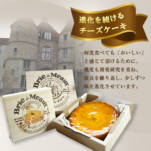 ＜新登場＞「デリチュース」チーズケーキ(1個)チーズケーキ ベイクドチーズケーキ お菓子 スイーツ ケーキ 冷凍 大阪土産 誕生日 記念日 お取り寄せ ギフト 贈答 プレゼント【m22-03】【ジェイ