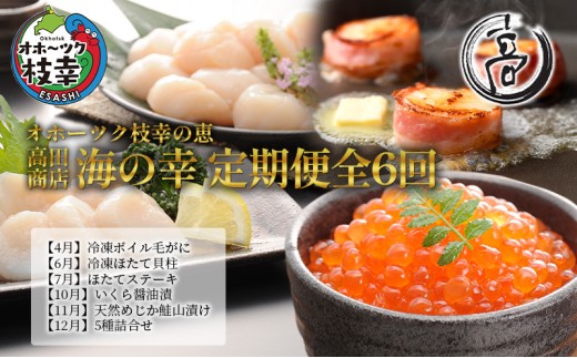 
             オホーツク枝幸の恵 海の幸 年6回 定期便 [2026年4月発送開始] 丸高 高田商店【 魚貝類 いくら 魚卵 帆立 ホタテ サーモン 鮭 北海道 オホーツク 枝幸 】
          