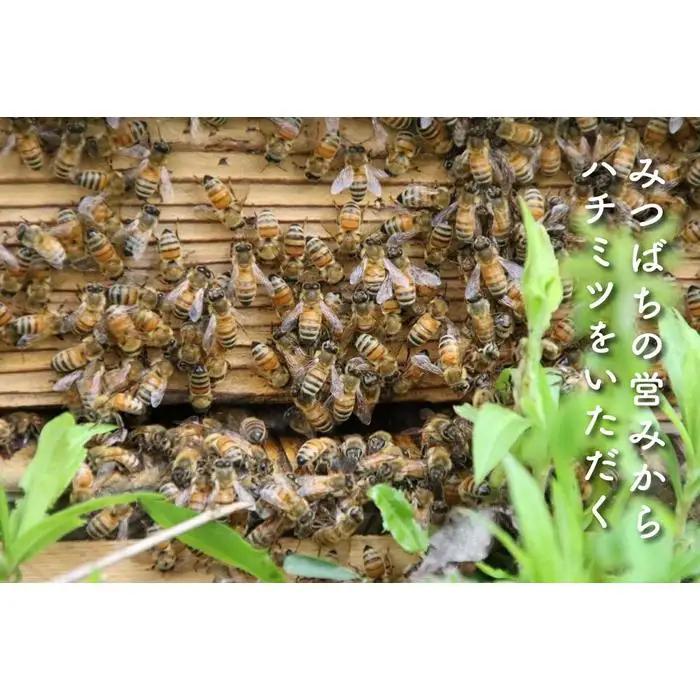 さいき養蜂園　非加熱蜂蜜　そば　１kg×２本【ハチミツ 蜂蜜 ハニー 非加熱 セット 健康食品 国産 保存 備蓄 防災 非常食 常温】