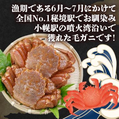 ふるさと納税 豊浦町 【令和8年度発送先行受付】活毛ガニ 2尾 (1尾450g前後) 毛ガニ 冷蔵 TYUR033 |  | 01