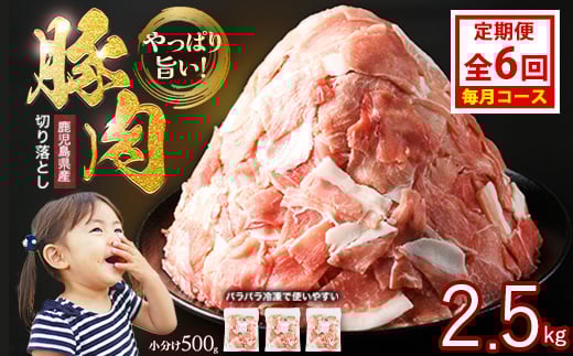 
            ＜定期便 毎月発送 全6回＞鹿児島県産 豚肉切落し (500g×5P) 2.5kg 【スターゼン】 starzen-1417
          
