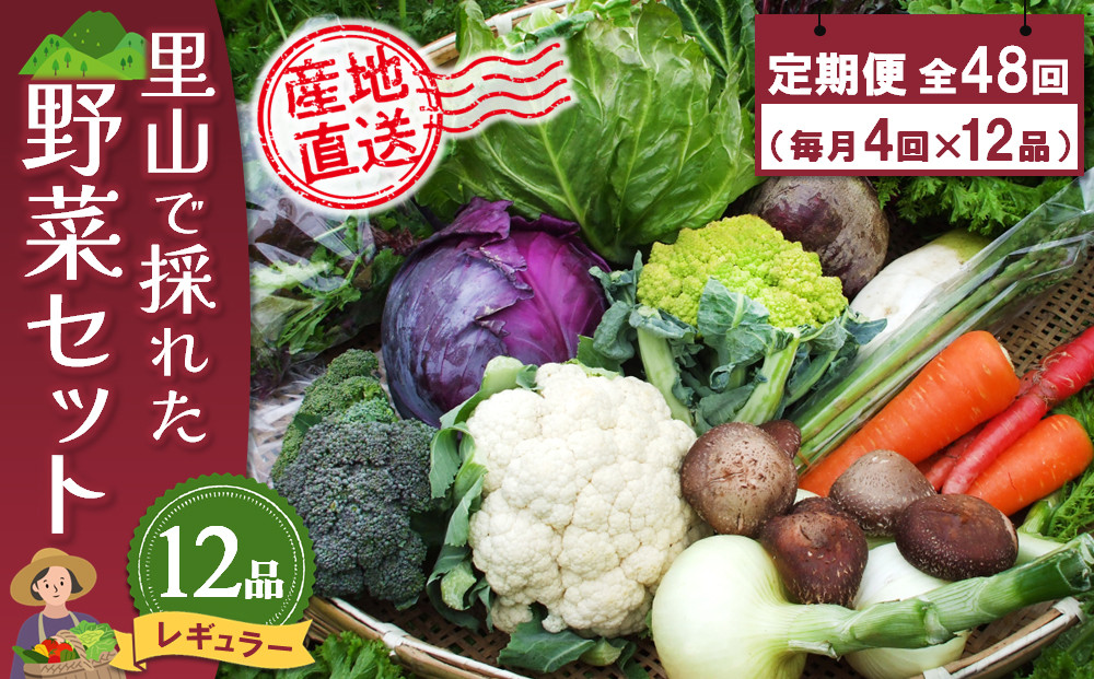 
年間定期便48回 里山で採れた野菜セットレギュラー 12品 【有機野菜 おまかせ野菜セット イタリア野菜 西洋野菜 定期便】(H078108)

