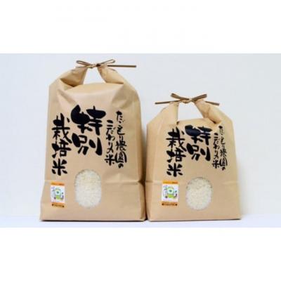 ふるさと納税 小郡市 米 たごもり農園 特別栽培米夢つくし 5kg 小郡産 栽培期間中農薬不使用[No5354-0843] |  | 01