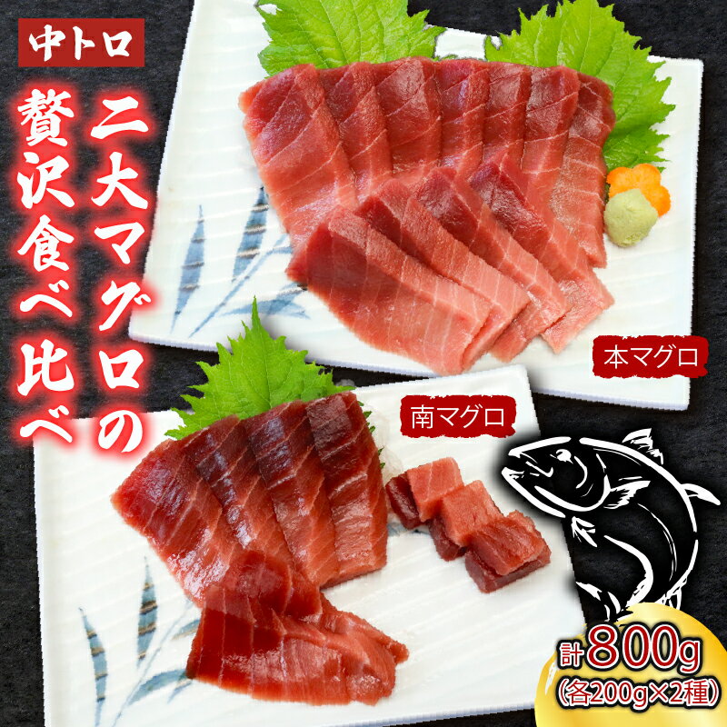 【ふるさと納税】 厳選天然本まぐろ中トロ2柵　と　厳選天然南まぐろ2柵 食べ比べ 合計800g まぐろ マグロ 鮪 本マグロ 本まぐろ 天然 魚 海鮮 魚介 比較