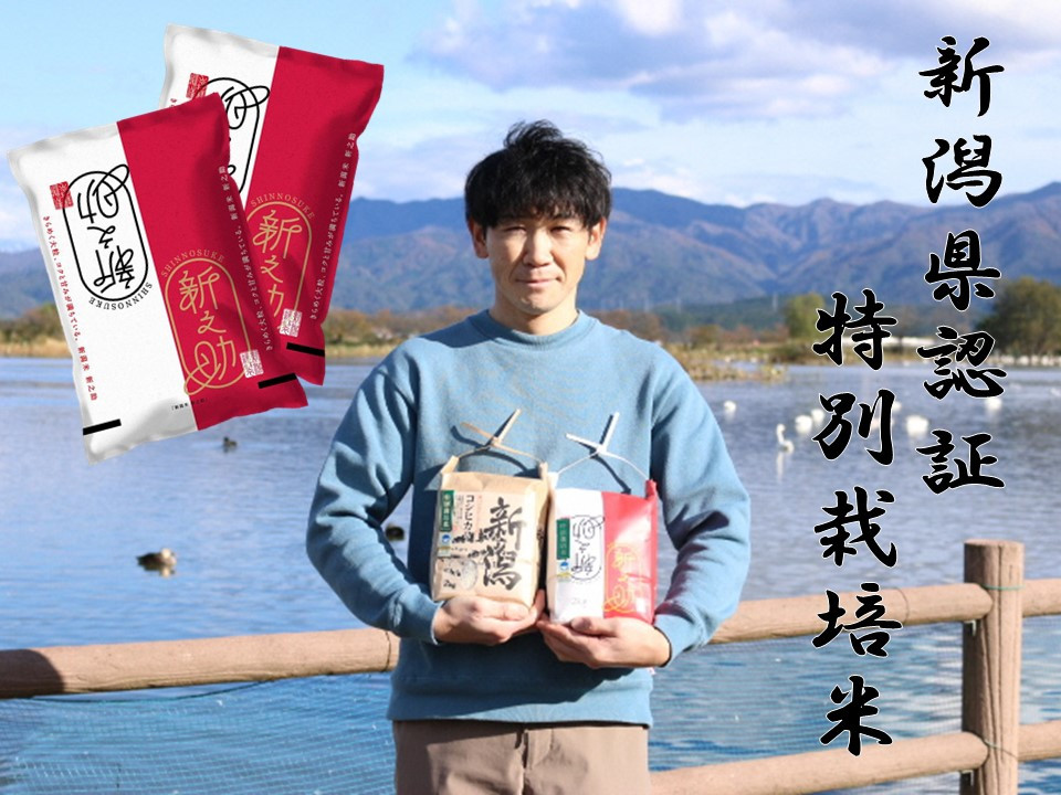 
            【令和7年産新米予約】【新潟県認証米】 10kg (5kg×2袋) 特別栽培米 新之助 阿賀野市産 丸山農園 10月中旬より順次発送予定 3F04027
          