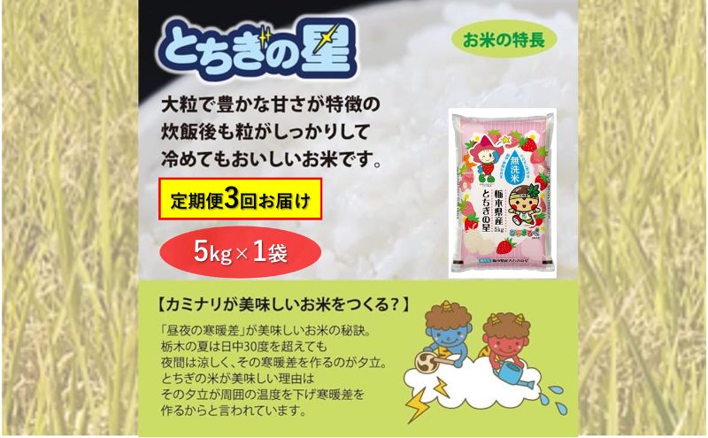 【定期便 3ヶ月】栃木県鹿沼市産 とちぎの星 無洗米 5kg 3回お届け 令和6年産 水稲うるち精米 単一原料米 お米  特A 大粒