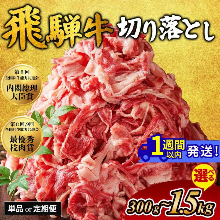 【ふるさと納税】【選べる内容量・定期便】飛騨牛 切り落とし｜300g 500g 800g 1kg 1.5kg 牛肉 和牛 国産 1万円以下 切り落し 切落し 定期便 スライス 焼肉 すき焼き カレー 赤身 赤身肉 牛 肉 夜ごはん 晩ごはん ご飯