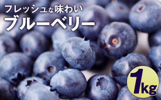 【2027年6月下旬発送】相良村産 ブルーベリー 1kg フルーツ くだもの 果物 熊本県産