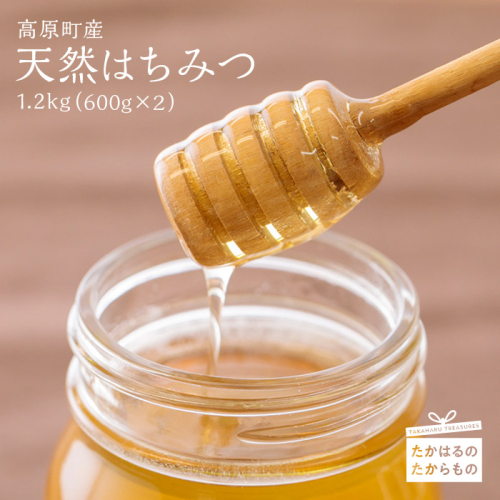 高原町産天然はちみつ 1.2kg(600g×2本) 国産のおいしい蜂蜜 ワンストップオンライン対応 TF0364-P00011