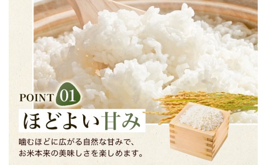 【6回定期便】【ふるさと納税】ひのひかり 米 お米  玄米  20kg 20キロ 福岡県産 うきは市 国産 精米 ご飯 ごはん おにぎり お弁当 人気 おすすめ 家庭用 送料無料 令和7年度産 ストッ
