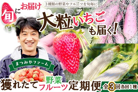 【野菜】旬野菜3回定期便｜さつまいもコーンいちご