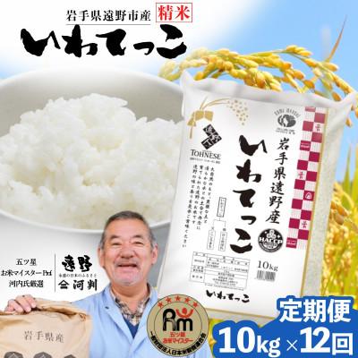 ふるさと納税 遠野市 【毎月定期便】岩手県 遠野産 いわてっこ 精米 10kg 河判全12回