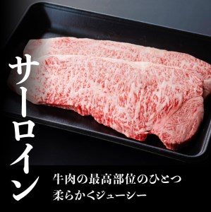 ※令和6年2月より順次発送※5等級! 牛肉 宮崎牛 サーロインステーキ 400g 【牛 肉 牛肉 国産牛肉 牛 宮崎県産牛肉 牛 黒毛和牛 肉質等級5等級の牛肉限定 宮崎牛 サーロイン ステーキ 牛肉