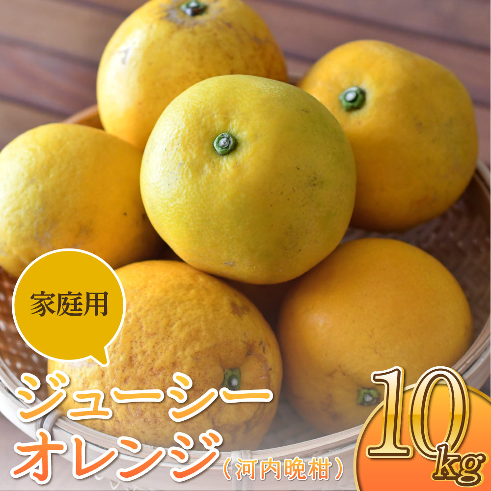 【ふるさと納税】【先行予約】 ジューシーオレンジ 河内晩柑 家庭用 約10kg ※20玉〜25玉前後 のむちゃん農園 【2025年4月上旬〜7月上旬発送予定】