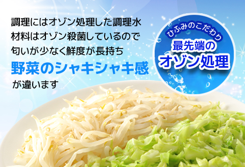 長崎伝統の味　ひふみの長崎皿うどん6個セット【B9-006】