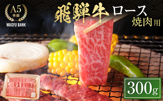 飛騨牛ロース 焼肉用 300g 飛騨牛 A5等級 和牛 黒毛和牛 F4N-2667
