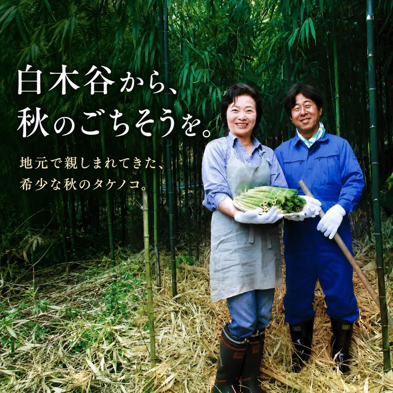 【期間限定】 国産 四方竹 土佐煮 200g × 4袋 (2026年11月～発送) | シホウチク 筍 たけのこ 特産 珍味 希少 高知 南国市