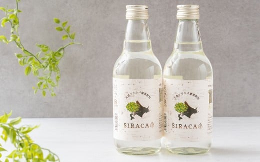 【1ヶ月毎3回定期】 SIRACA Drink 360ml シラカバンバ樹液 1回あたり計1440ml（360ml×4本セット） 1ヶ月毎 3回 水 みず 飲料水 白樺樹液 木 白樺