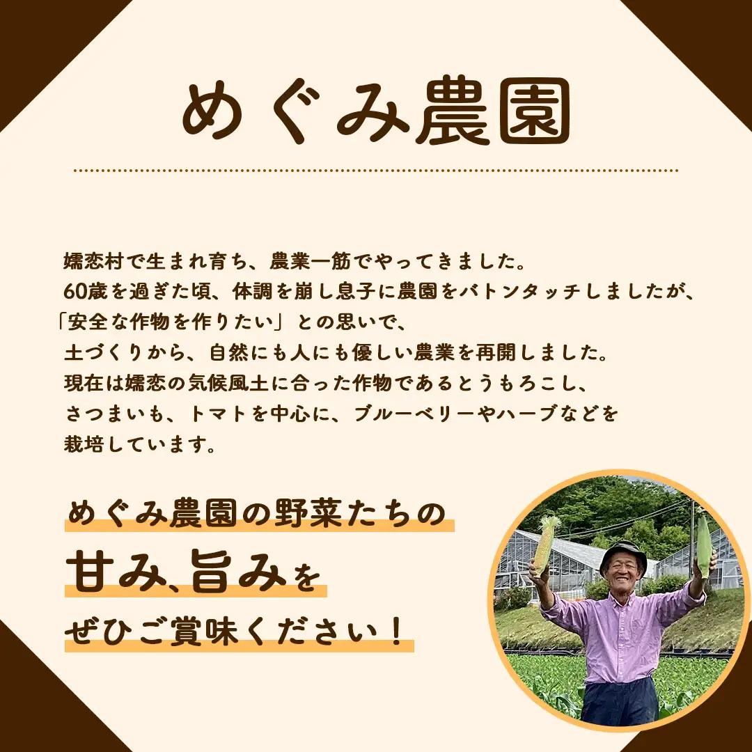 嬬恋村 の 農園 アイス 食べ比べセット 10個入（ さつまいも ・ ブルーベリー 各5個 ） [AT023tu]