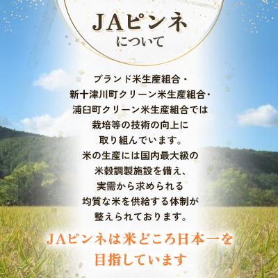 ふるさと納税 浦臼町 【先行予約 令和8年産】浦臼町産　ゆめぴりか(精米)10kg　特A　お米 |  | 03