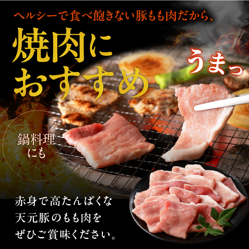 豚肉 天元豚 もも 焼肉用 1.8kg ( 300g × 6パック ) ブランド豚 精肉 ポーク スライス 焼き肉 国産 山形県 米沢市