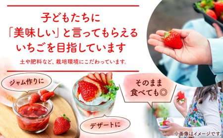 《2025年発送先行予約》【期間・数量限定】いちご「あまおとめ」 (250g×4トレイ・パック) いちご 果物 フルーツ