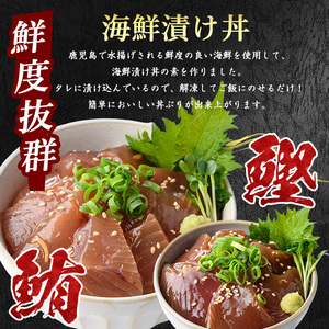 まぐろ・かつおの海鮮漬け丼セット100g×10袋(山川町漁協/010-1856) 冷凍 海鮮丼 海鮮 魚介類 マグロ まぐろ 鮪 カツオ かつお 鰹 丼 どんぶり 小分け 簡単 ランチ 惣菜 漬け 漬