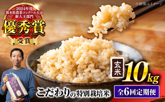 
                   【令和7年度】 【全6回定期便】 くまさんの輝き 玄米 10kg 計60kg　米 こめ コメ お米 げんまい【坂本農園】 [AYCC003]
                