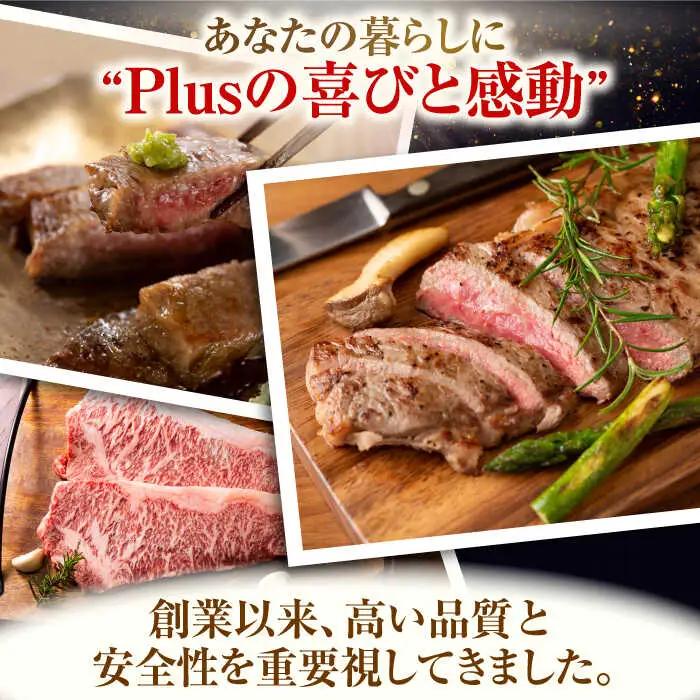 【全6回定期便】【A4~A5】長崎和牛サーロインステーキセット　500g（250g×2枚）【株式会社 MEAT PLUS】[QBS073]