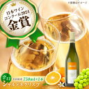 【ふるさと納税】【お歳暮対象】TOMOE シャルドネ クリスプ 白ワイン 辛口 750ml 1本 ワイン 受賞 ギフト 三次市 / 広島三次ワイナリー[APAZ004]