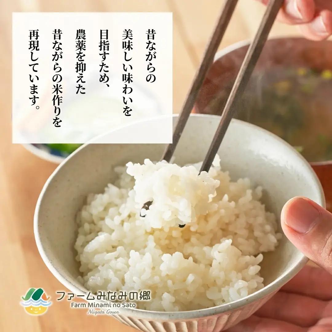パックごはん 150ｇ×24個 南郷米 | 新潟県 パックごはん
