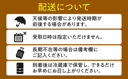 【先行予約・26年9月以降発送】日田梨 新高 5kg 梨[ARBB004]