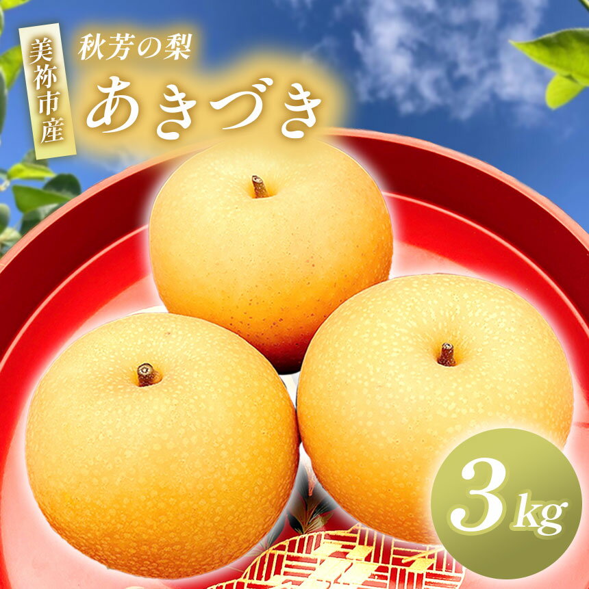 【ふるさと納税】 美祢市産 あきづき（ 3kg ） 先行予約 〈 2025年9月下旬頃 ～ 発送予定 〉｜ あきづき なし 梨 フルーツ 特産品 美祢市 美祢 山口県 山口 秋芳町 秋芳 秋芳の梨 カルスト台地 先行予約