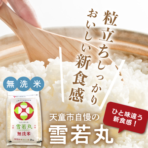 【2026年3月下旬発送】令和7年産 無洗米 雪若丸 5kg 米 山形 07-01-194-03C