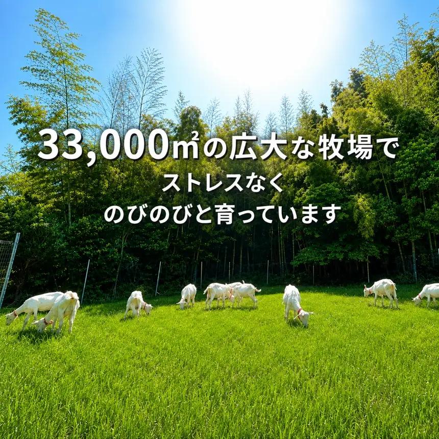 【定期便3回】国産グラスフェッド【ペット用】ヤギミルク200ml×12本（愛知ヤギ農場産）