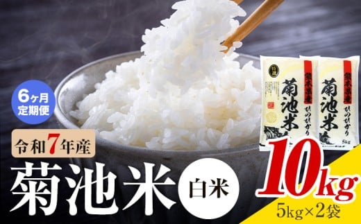 【6ヶ月定期便】熊本県産 菊池米 白米 10kg 1袋5kg 米 お米 令和7年産 九州産 熊本県産 送料無料《お申込み翌月に出荷予定》 白米 米