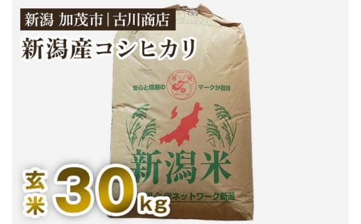 【令和7年産】新潟県加茂市産コシヒカリ 玄米30kg 《順次発送》 一等米 お米の専門店 古川商店