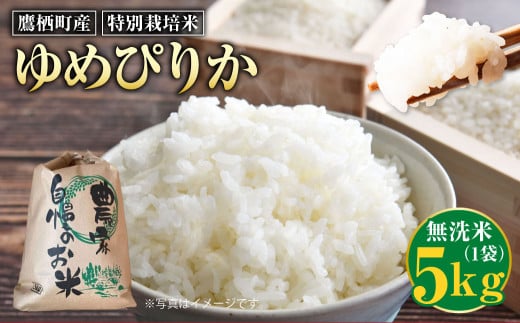 【令和7年産】 ゆめぴりか （無洗米） 5kg 北海道 鷹栖町 たかすのおむすび 米 コメ ご飯 無洗米 お米